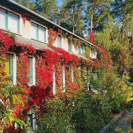 Pension Zur Fledermaus Waren  Eksteriør billede